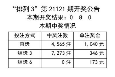 新澳2024今晚開獎(jiǎng)資料四不像，探索彩票背后的神秘面紗