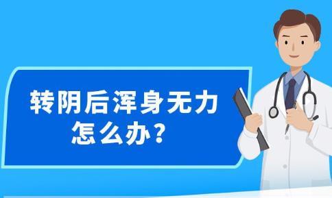 新澳精準(zhǔn)資料免費(fèi)提供，探索第265期的奧秘與價(jià)值