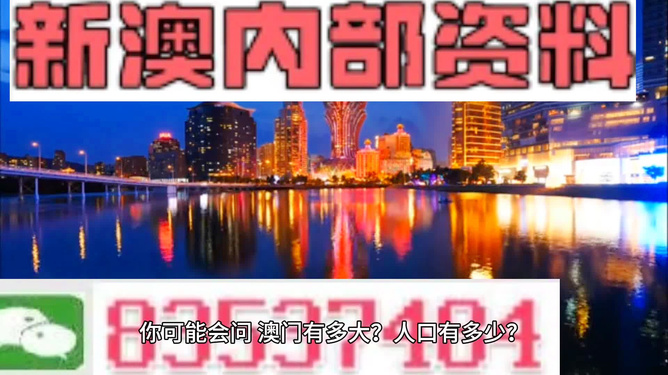 新澳門精準(zhǔn)資料大全與管家婆料，深度解析與探討