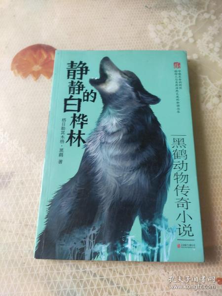 四不像正版與正版四不像，探究正版內(nèi)容的多元形態(tài)