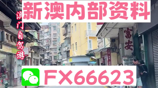 新澳精準(zhǔn)資料免費(fèi)提供，警惕背后的違法犯罪風(fēng)險(xiǎn)