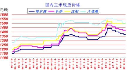 彰武玉米價(jià)格最新行情分析