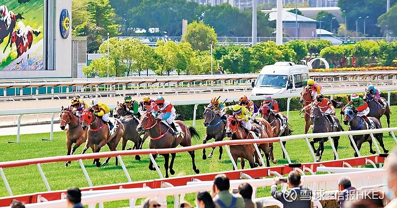 探索香港賽馬，2024全年免費(fèi)資料與穩(wěn)妥解答解釋落實(shí)之路