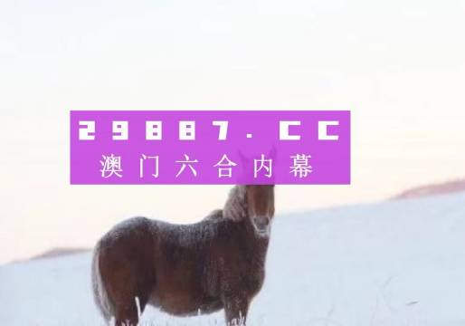 澳門精準(zhǔn)正版免費大全與犯罪問題的探討