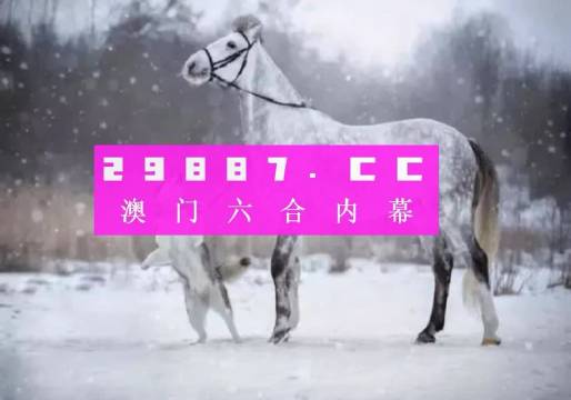 澳門一肖一碼準選一碼與高手版數(shù)字，創(chuàng)新解答、落實解決與警惕風險