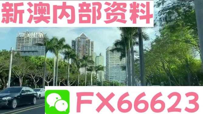 新澳精準(zhǔn)資料大全免費(fèi)與項(xiàng)目管理解析落實(shí)——小說(shuō)版