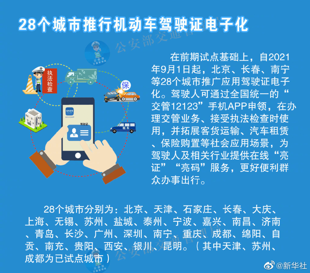 探索4949免費資料大全正版，用戶體驗解答與自在版服務(wù)的落實