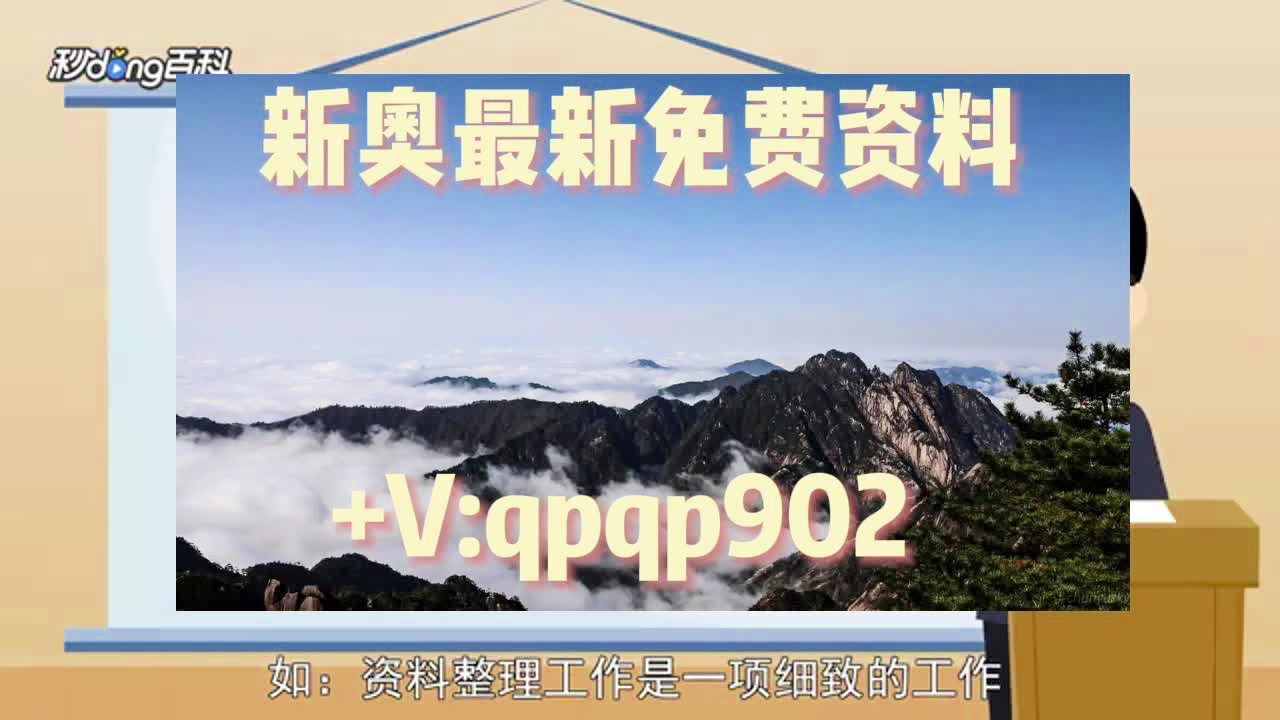 新澳資料大全正版資料2024年免費(fèi)，全面解析與前瞻性探討